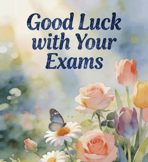 TET 1 Solved Paper 2025